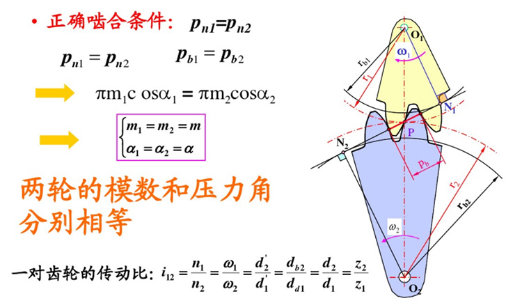 渐开线齿轮正确啮合及连续传动需要满足的条件